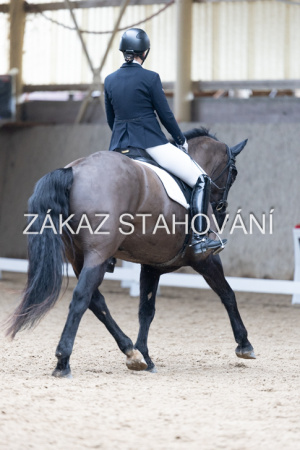 Z2 hobby (863).JPG