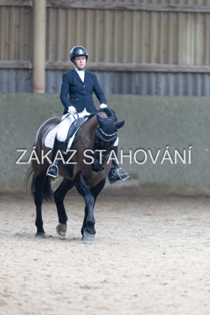 Z2 hobby (890).JPG