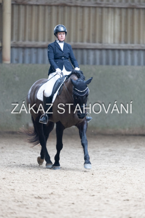 Z2 hobby (893).JPG