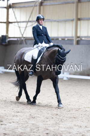 Z2 hobby (897).JPG