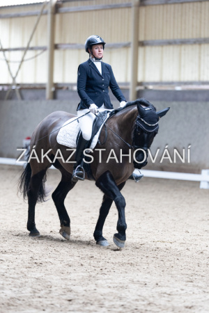 Z2 hobby (898).JPG