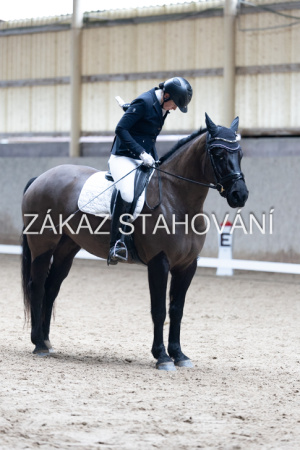 Z2 hobby (899).JPG