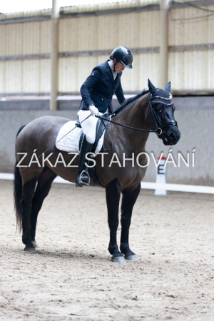 Z2 hobby (901).JPG