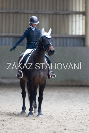 Z2 hobby (920).JPG