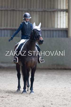 Z2 hobby (921).JPG