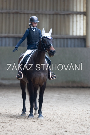 Z2 hobby (922).JPG