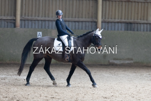 Z2 hobby (937).JPG