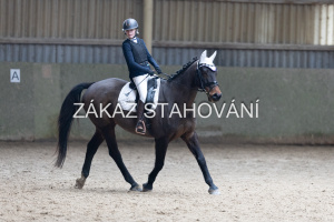 Z2 hobby (939).JPG