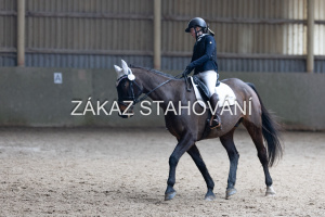 Z2 hobby (943).JPG