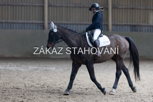 Z2 hobby (946).JPG