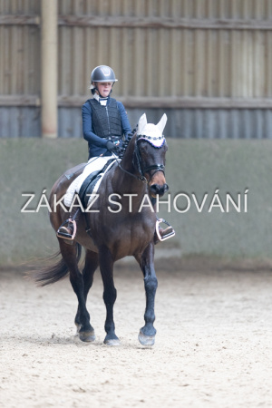 Z2 hobby (949).JPG