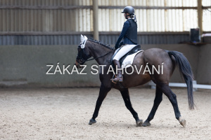 Z2 hobby (971).JPG