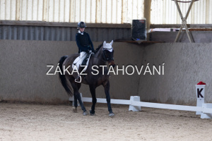 Z2 hobby (974).JPG