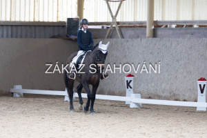 Z2 hobby (977).JPG