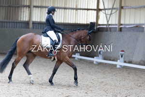 L2 (425).JPG