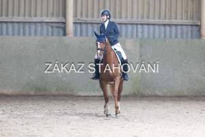 L3 (299).JPG