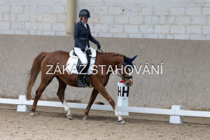 L3 (351).JPG